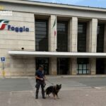 finanza cani stazione