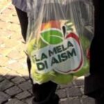 Mela AISMù