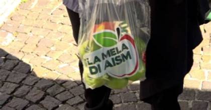 Mela AISMù